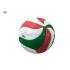 Molten V5M3500 Official Size 5 Volleyball