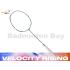 Yonex Nanoflare 700 Game Silver Skyblue 2NF-700G (Made In Taiwan) Badminton Racket (4U-G5)